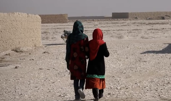Afghanistan crisis